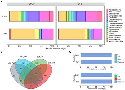 Antibiotics affected the bacterial community structure and diversity in pore water and sediments with cultivated Phragmites australis in a typical Chinese shallow lake